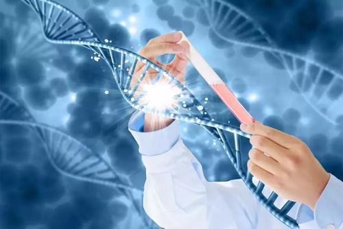 赴泰生孩子费用多少？据说比国内高？