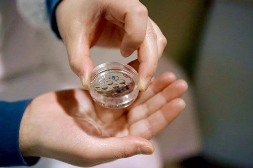 试管婴儿适用于哪些女性