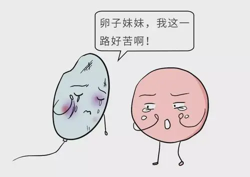 2020年春季试管婴儿费用多少钱
