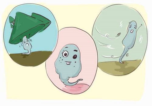 试管生小秘密：如何轻松度过移植后的验孕等待期？