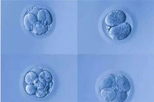 2022南京第三代试管婴儿医院哪家好
