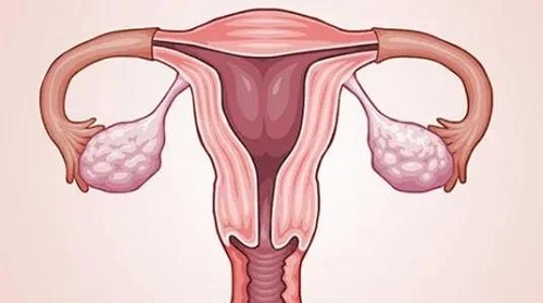 高龄做试管婴儿如何获得高成功率？
