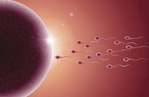 高龄做三代试管婴儿的注意事项是什么？