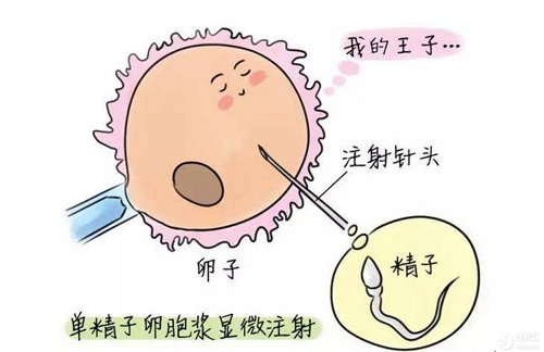 2022年深圳第三代试管婴儿大概费用是多少？
