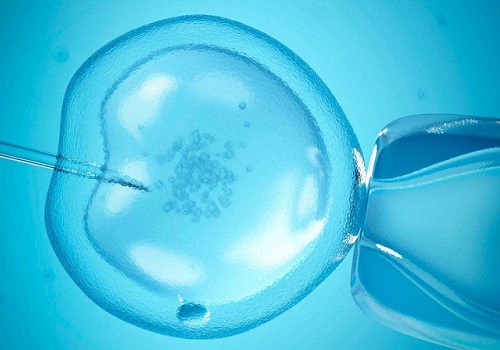 10个人做试管婴儿几个能成功？如何做能提高试管成功率？