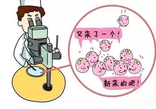 试管婴儿费用大约多少？由哪些因素决定？