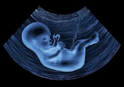 2021年做试管婴儿可以纳入医保吗？失独家庭想做试管