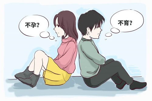 2022做个试管婴儿要多少钱
