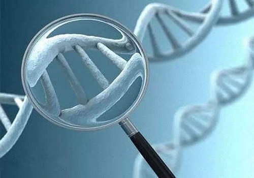 赴泰生子5大骗局详情解析