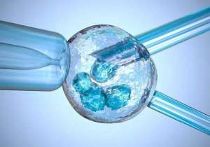 2022年三代试管囊胚移植成功率高吗