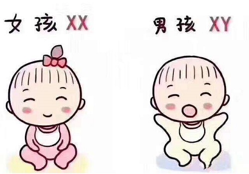 试管婴儿能确定吗?