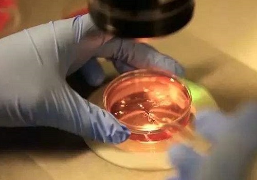 泰国试管婴儿多少钱