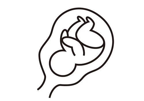 3代试管婴儿的大概费用多少